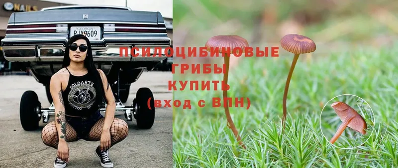 Галлюциногенные грибы ЛСД  shop состав  Усмань 